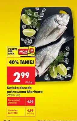 Biedronka Świeża dorada patroszona Marinero oferta