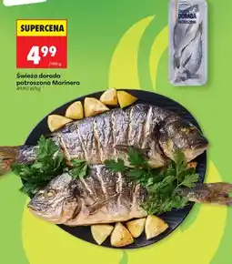 Biedronka Świeża dorada patroszona Marinero oferta