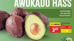 Biedronka Awokado Hass oferta