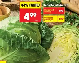 Biedronka Kapusta młoda oferta
