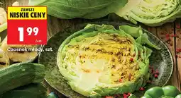 Biedronka Czosnek młody oferta
