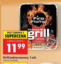 Biedronka Grill jednorazowy Fire & Flame Picknick oferta