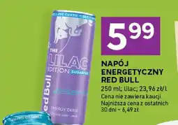 Stokrotka Napój energetyczny Red Bull The Lilac Edition Sugarfree bez cukru oferta