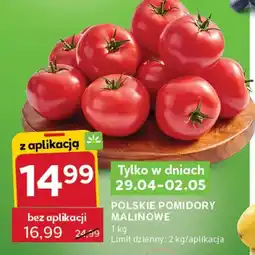 Stokrotka Pomidory malinowe polskie oferta