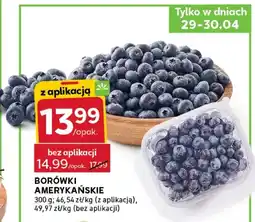 Stokrotka Borówki amerykańskie oferta