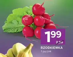 Stokrotka Rzodkiewka oferta