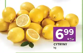 Stokrotka Cytryny oferta