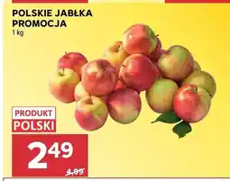 Stokrotka Jabłka polskie oferta