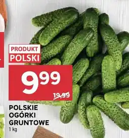 Stokrotka Ogórki gruntowe polskie oferta