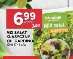 Stokrotka Mix sałat klasyczny XXL Gardinia oferta