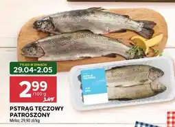 Stokrotka Pstrąg tęczowy patroszony Mirko oferta