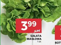 Stokrotka Sałata masłowa oferta