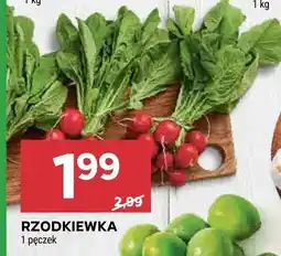 Stokrotka Rzodkiewka oferta