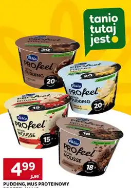 Stokrotka Pudding proteinowy Valio PROfeel chocolate oferta
