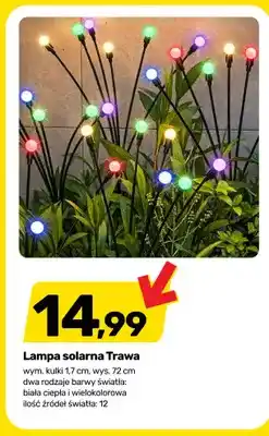 Bricomarche Lampa solarna Trawa biała ciepła oferta