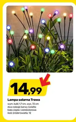 Bricomarche Lampa solarna Trawa wielokolorowa oferta
