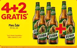 Polomarket Piwo Zubr oferta