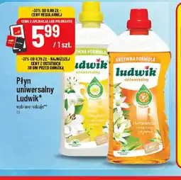 Polomarket Ludwik Płyn uniwersalny oferta