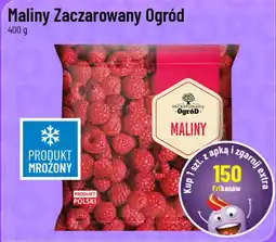 Polomarket Maliny Zaczarowany Ogród oferta