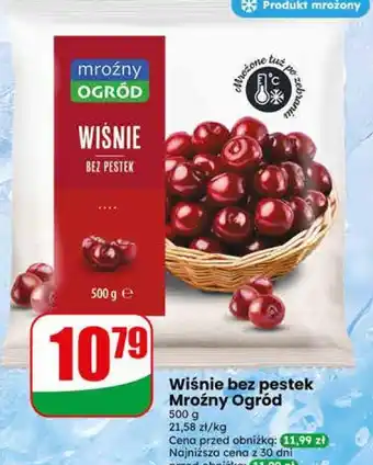 Dino Wiśnie bez pestek Mroźny Ogród oferta