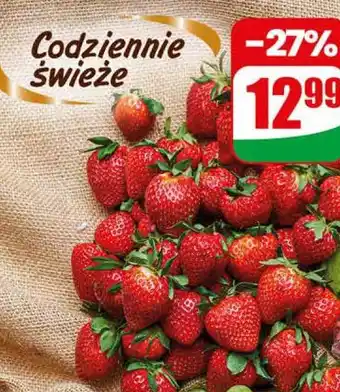Dino Truskawka oferta