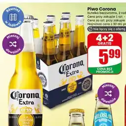Dino Piwo Corona butelka bezzwrotna, 2 rodzaje oferta