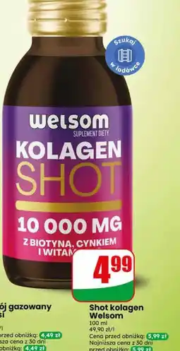 Dino Shot kolagen Welsom oferta