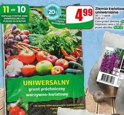 Dino Ziemia kwiatowa uniwersalna oferta