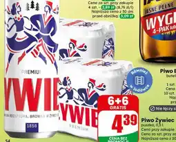 Dino Piwo Żywiec oferta