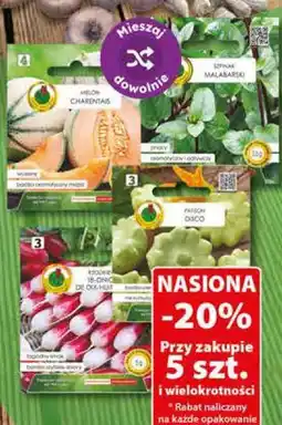 Dino Nasiona oferta