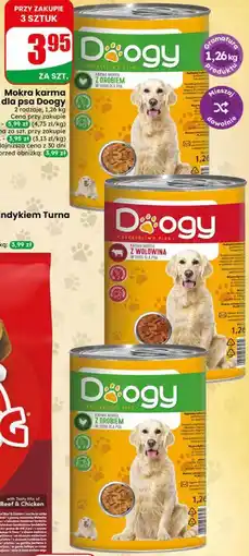 Dino Mokra karma dla psa Doogy oferta