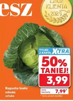 Kaufland Kapusta biała młoda sztuka oferta