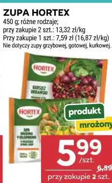 Stokrotka ZUPA HORTEX oferta