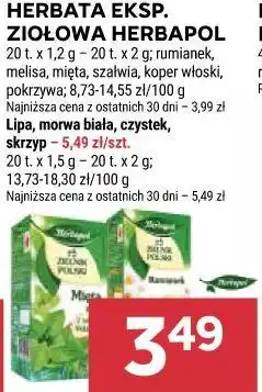 Stokrotka HERBATA EKSP. ZIOŁOWA HERBAPOL oferta