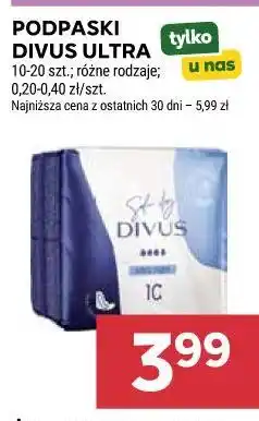 Stokrotka Podpaski Divus Ultra oferta