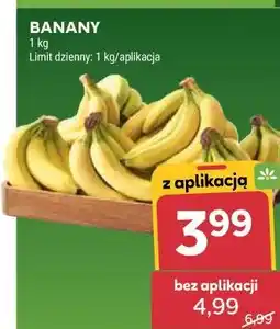 Stokrotka BANANY oferta