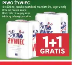 Stokrotka Market Piwo Zywiec oferta