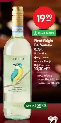 Żabka Wino wytrawne Pinot Grigio Del Venezie Tinazzi Alcedo oferta