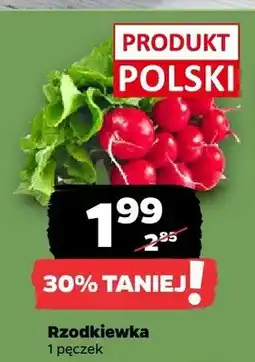 Netto Rzodkiewka polska oferta