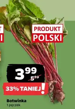 Netto Botwinka polska oferta