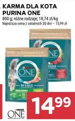 Stokrotka Market Karma dla kota Purina One oferta