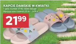 Stokrotka Market Kapcie damskie w kwiatki oferta