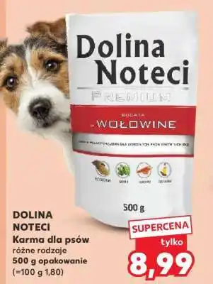 Kaufland Dolina Noteci oferta