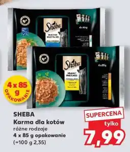 Kaufland SHEBA Karma dla kotów oferta