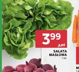 Stokrotka Market Sałata masłowa oferta