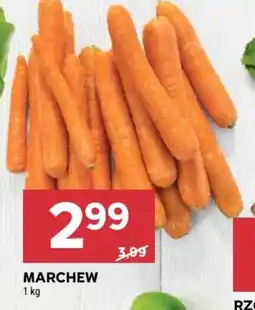 Stokrotka Market Marchew oferta