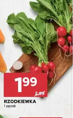 Stokrotka Market Rzodkiewka oferta
