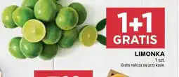 Stokrotka Market Limonka oferta