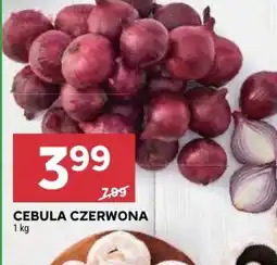 Stokrotka Market Cebula czerwona oferta