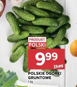 Stokrotka Market Polskie ogórki gruntowe oferta